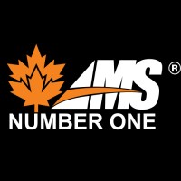 AMS Number One Logo