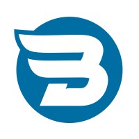 Flying Bag Logo