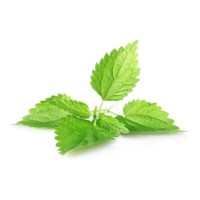 Grasping The Nettle Logo