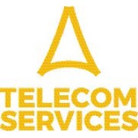 Telecom Services Logo
