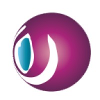 Brainlogic Logo