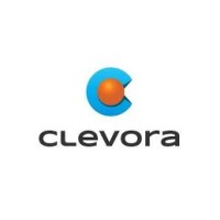 Clevora Global Outsourcing Services LLP Logo