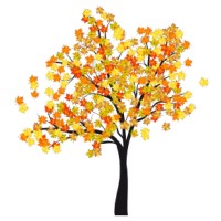 The Coalition for Vermont Student Equity, Inc. Logo