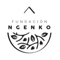Fundación Ngenko Logo