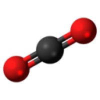 Actuaries Carbon Collaboration Logo