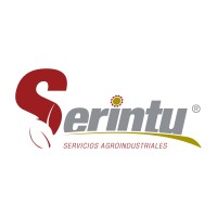 Serintu S.A. Logo
