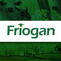 Friogan Logo