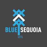 BLUE SEQUOIA Logo