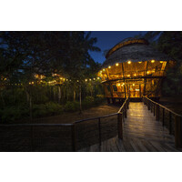 Treehouse Lodge Logo