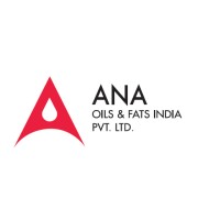 ANA International Logo