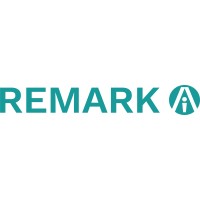 Remark Vision Logo