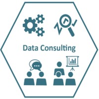 Data Consulting LA Logo