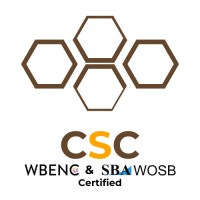 Coordinated Systems Consulting Logo