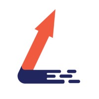 Lead Wise Logo