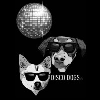 DiscoDogs Ltd. Logo