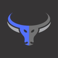 Bulwark Security Services LLC Logo