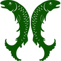 Salm-Salm & Partner GmbH Logo