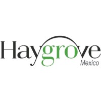 Haygrove - Mexico Logo
