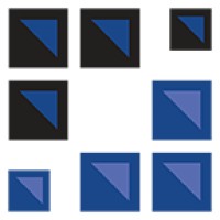 RSA Risk Management & Investigations Logo