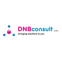 DNB consult, s.r.o. Logo