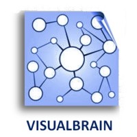 VISUALBRAIN Logo