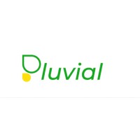 Pluvial.ai Logo