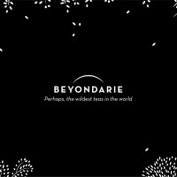 Beyondarie Logo