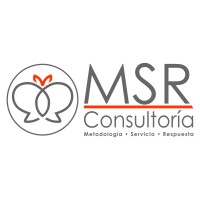 MSR CONSULTORIA Logo