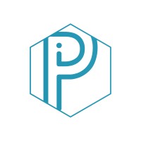 PION Group Logo
