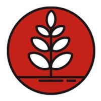 In Bloom Accounting Logo