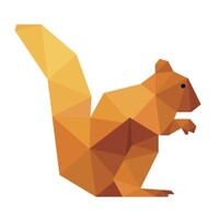 DataSquirrel.ai Logo