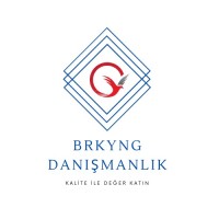 BRKYNG CONSULTING Logo
