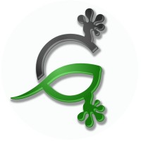 Grey Gecko LLC Logo