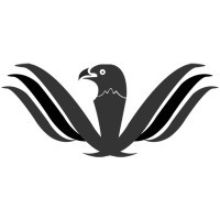 Fleet Hawks Inc Logo