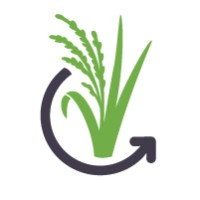 BCarbon Logo