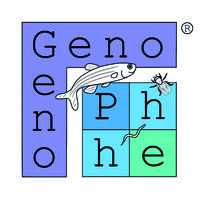 GenoPhe Biotech Pvt Ltd Logo