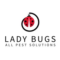 Lady Bugs All Pest Solutions Logo