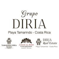 Grupo DIRIA Logo