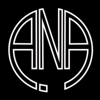 Artist Network Agency Logo