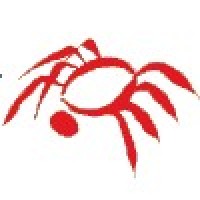 Spider Solutions Logo