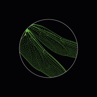 SPACESENSE ARCHITECTS Logo