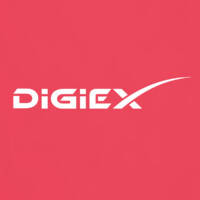 DigiEx Group Logo