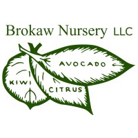 Brokaw Nursery Logo