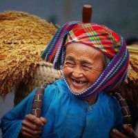 Vietnam Local Adventures Logo