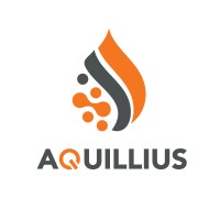 Aquillius Corporation Logo