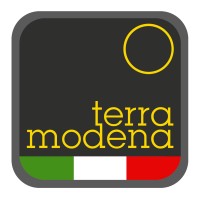 Terra Modena Mechatronic Logo