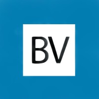 Blue Valley Insurance Agency Logo