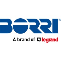 Borri Power (US) Inc. Logo