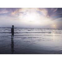 Freelance Services Logo