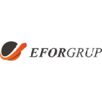 EFOR GRUP Logo